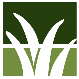 Largo Lawn Clean Up