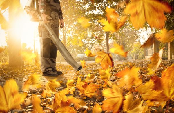 Leaf Blowing Service in Largo