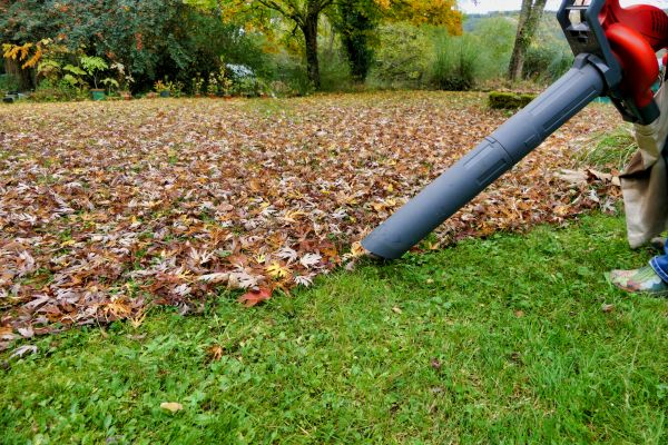 Leaf Vacuuming Service in Largo
