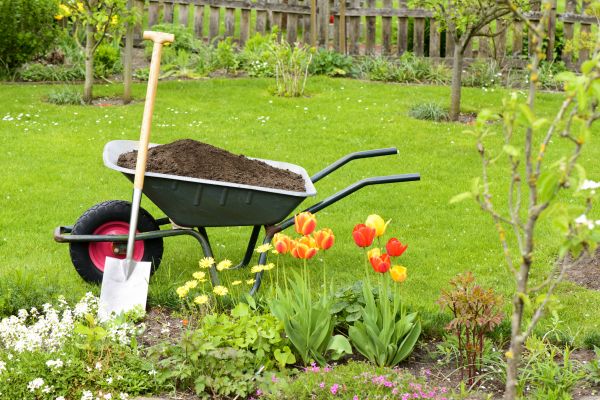Spring Yard Cleanup in Largo