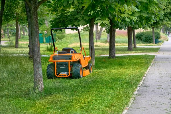 Landscaping Cleanup Service in Largo