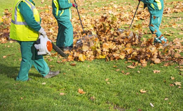 Leaf Maintenance in Largo