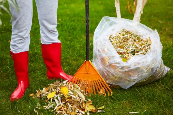 Leaf Disposal Service in Largo
