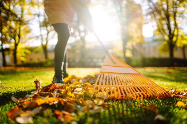 Leaves Raking in Largo