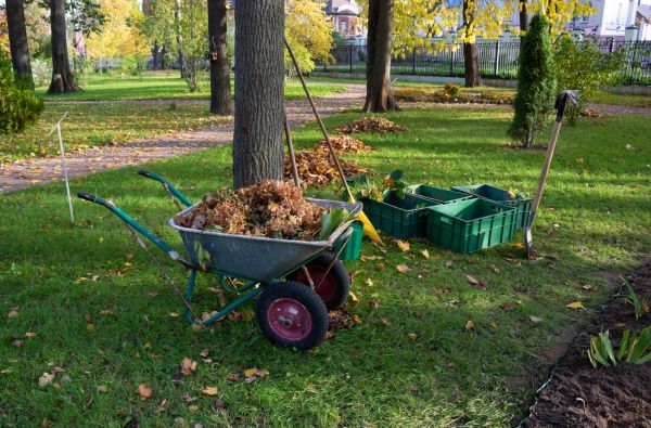 Leaf Clearing Service in Largo