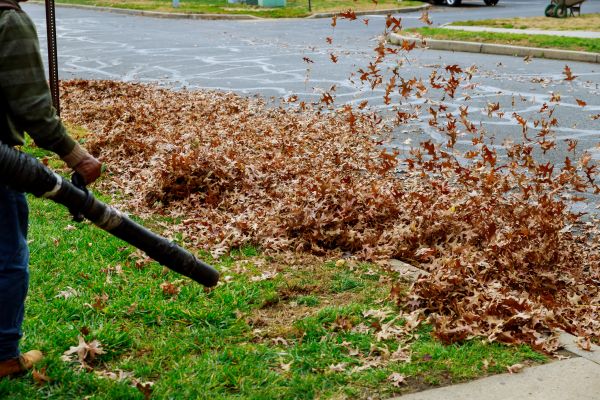 Garden Leaf Removal in Largo