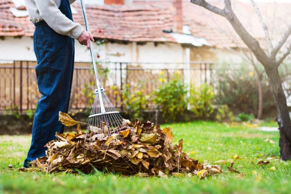 Spring Lawn Cleanup in Largo