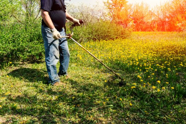 Yard Clearing Service in Largo