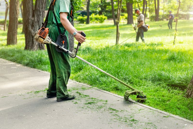 Lawn Clean Up Service