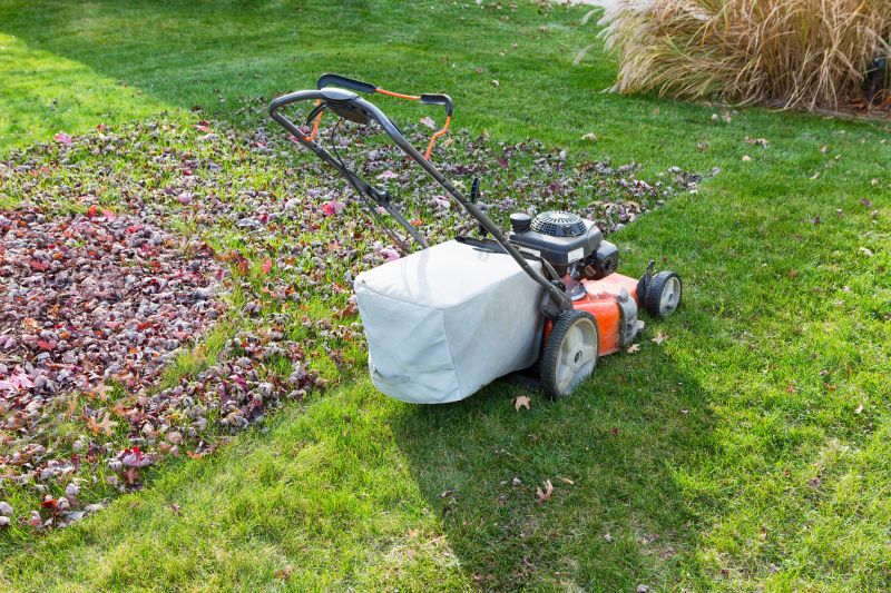 Lawn Equipment for Cleanup