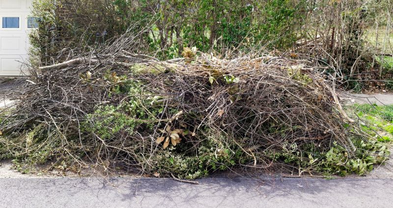 Lawn Debris Cleanup detail