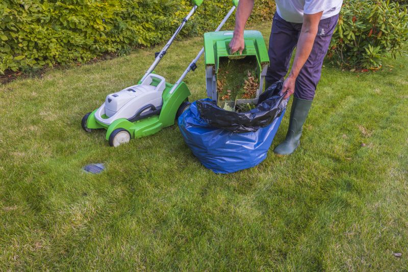 Grass Trimming and Edging