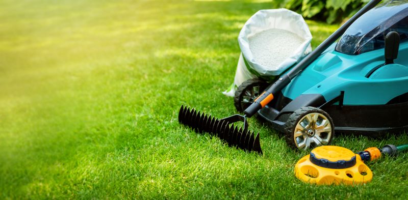 Spring Lawn Cleanup