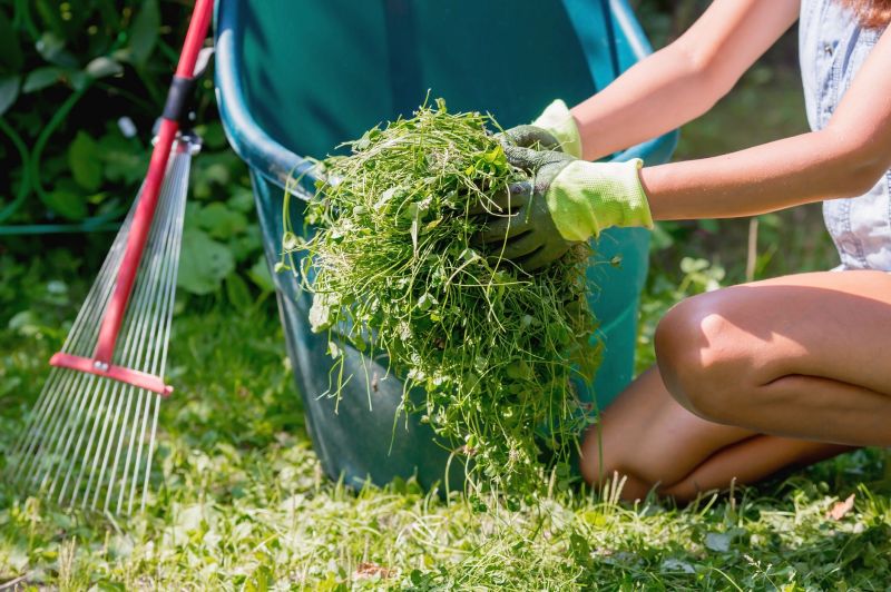 Yard tidy-up services