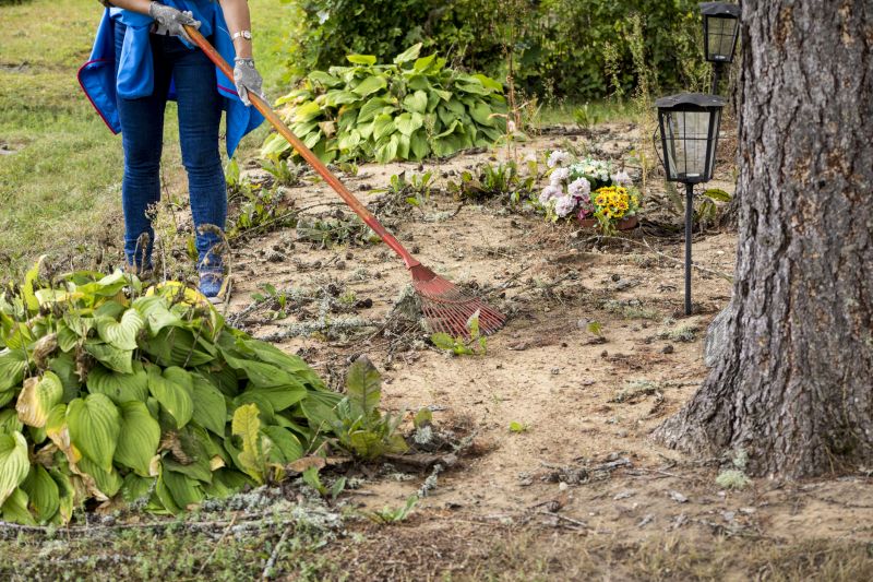 Eco-friendly cleanup options