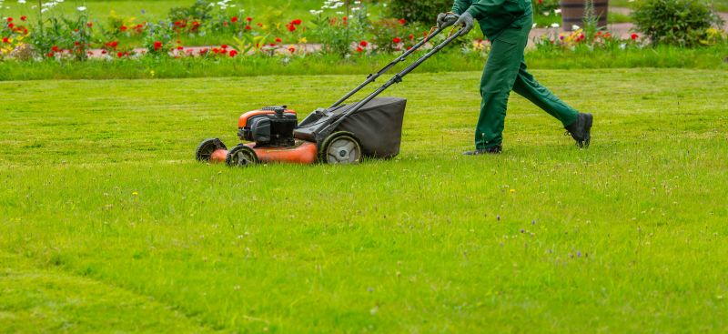 Year-round lawn maintenance